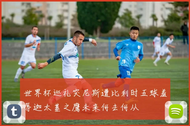 世界杯巡礼突尼斯遭比利时五球羞辱迦太基之鹰未来何去何从
